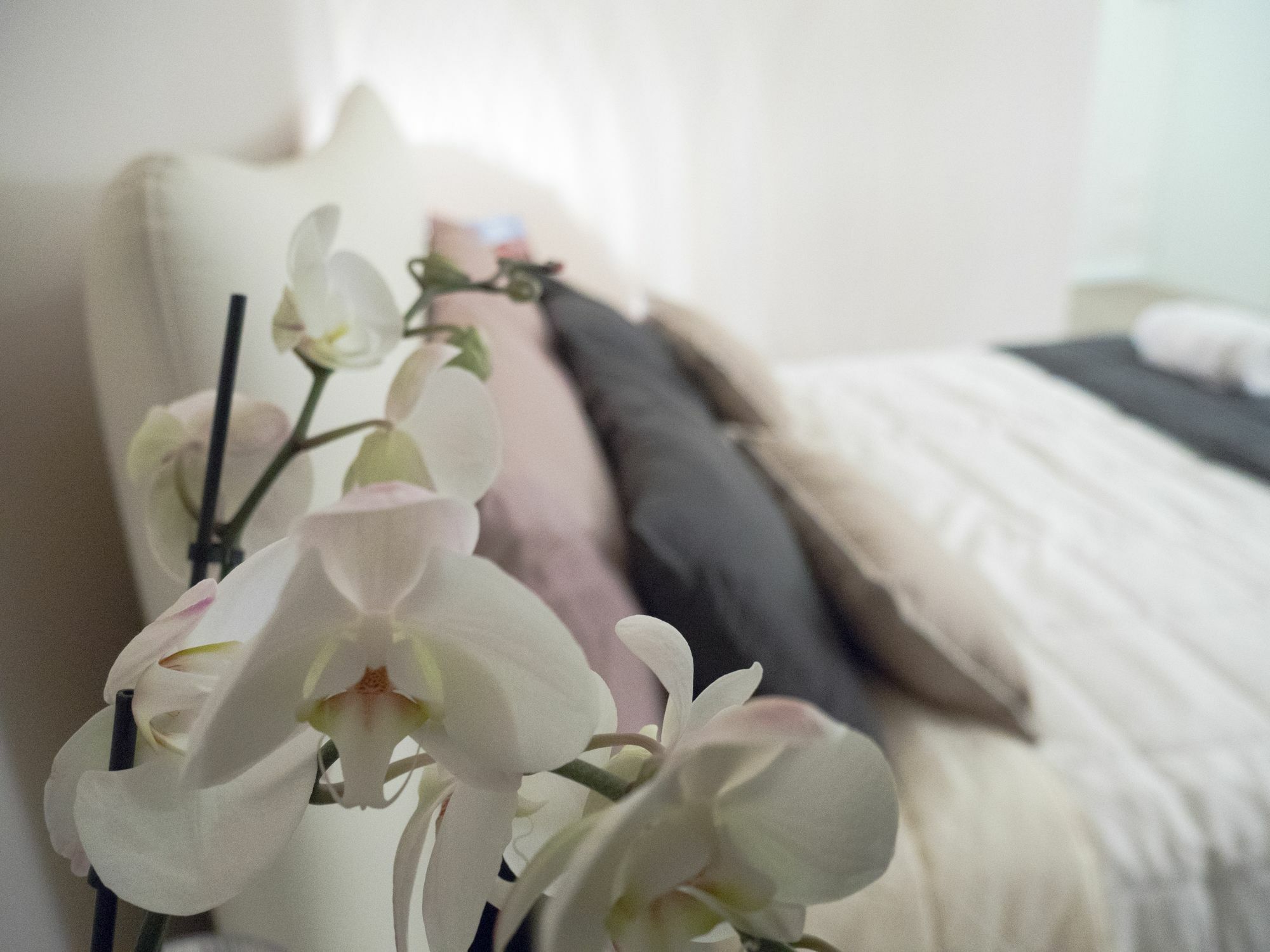 Relais Love ヴェローナ エクステリア 写真